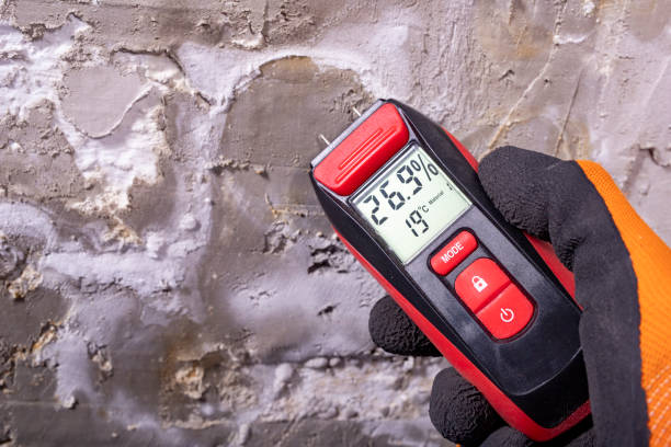 Best Residential Mold Remediation in Nags Head, NC